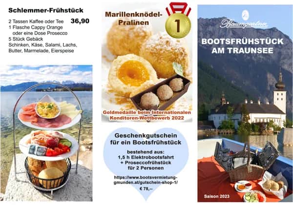Sommerpicknick am Traunsee